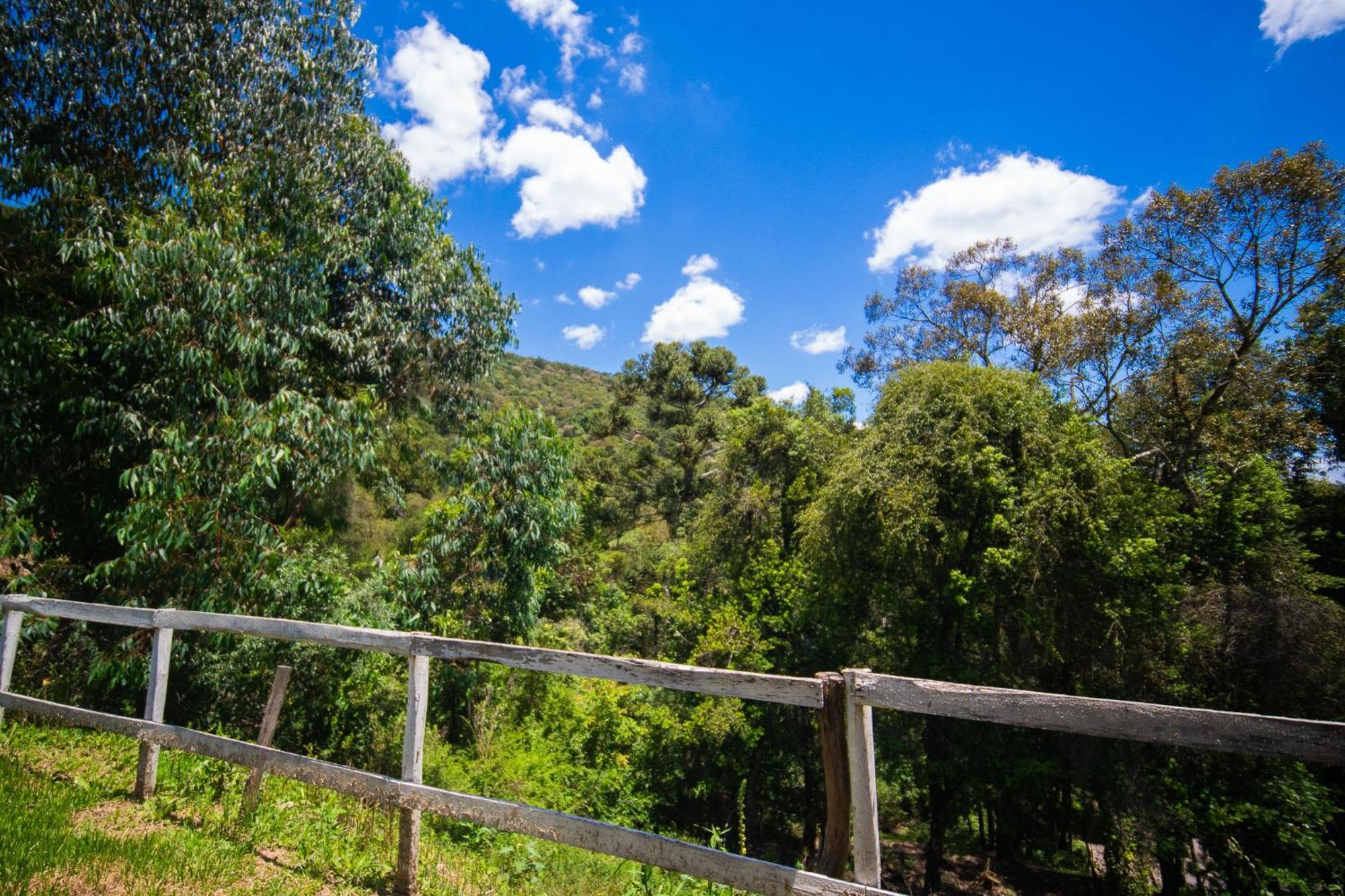 Pousada Natureza Da Terra Monte Verde  Luaran gambar